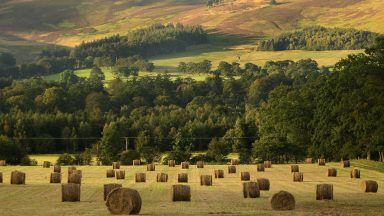 First Minister pledges to ‘secure bright future’ for Scotland’s farmers