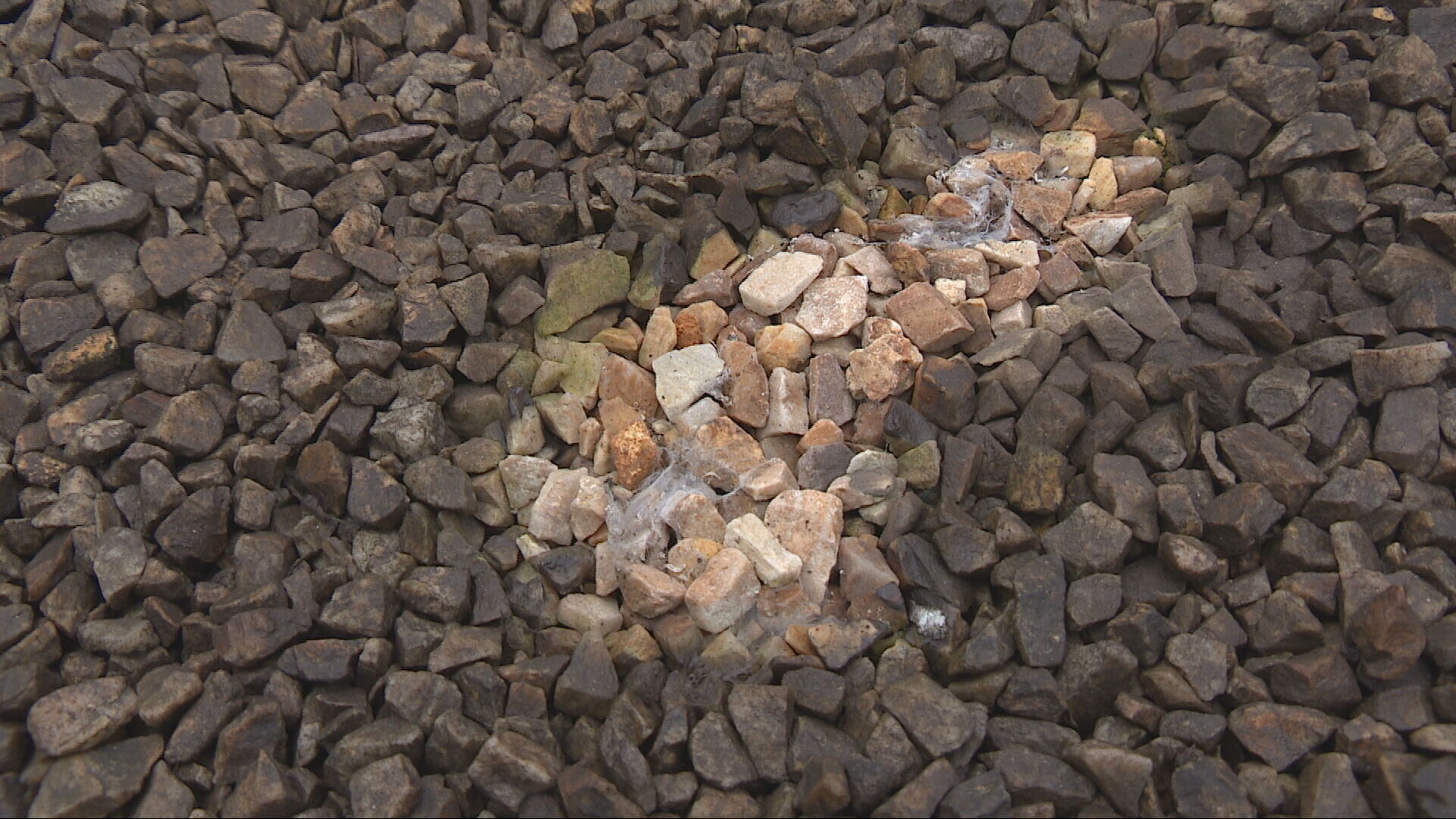 The soot has changed the colour of garden stones