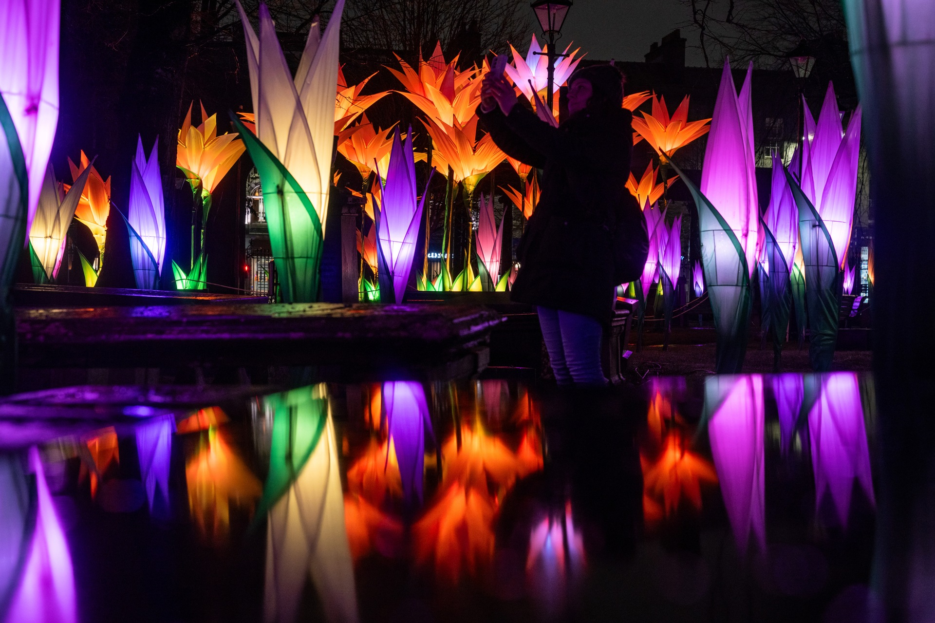 Tens of thousands to explore city light festival