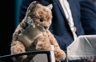Scottish Conservatives replaced by stuffed toy at election hustings event debating rewilding issues