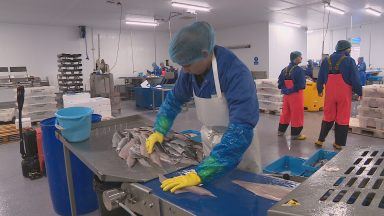 North East fishermen seek new Asian export markets