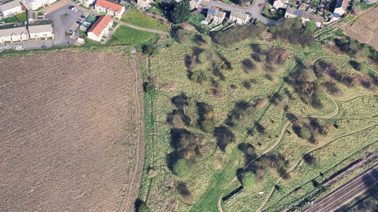 Woman sexually assaulted while walking dog in Musselburgh