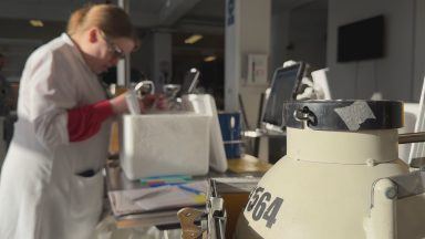 Glasgow mother fears ‘terrifying’ number of donor siblings