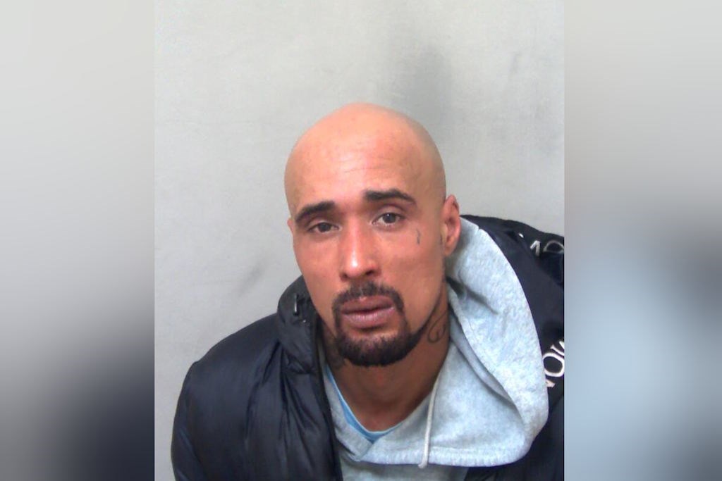 Man who owned XL bully dog that fatally mauled woman jailed for ten years