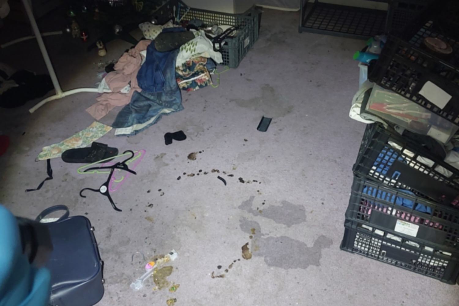 The house was littered with rubbish bags and glass