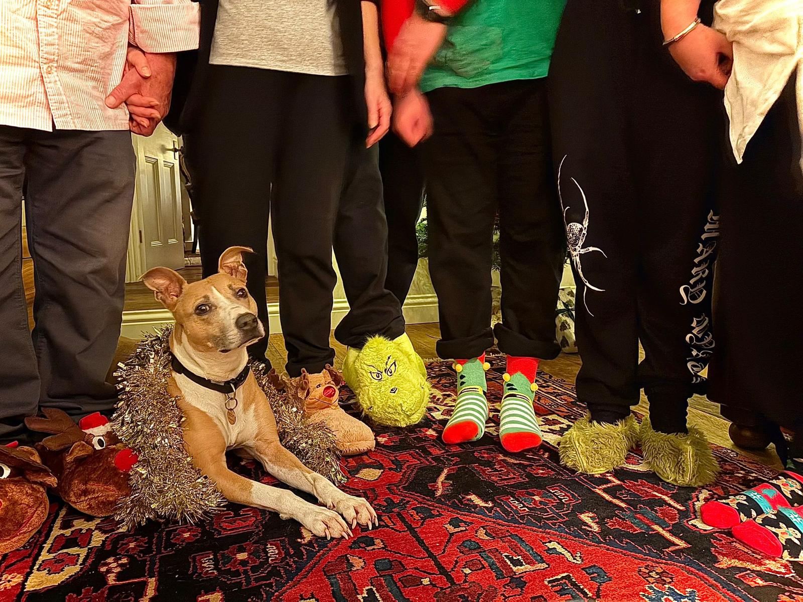 Lucy's new family say that the "adventurous girl" has brought "much joy" to their lives.