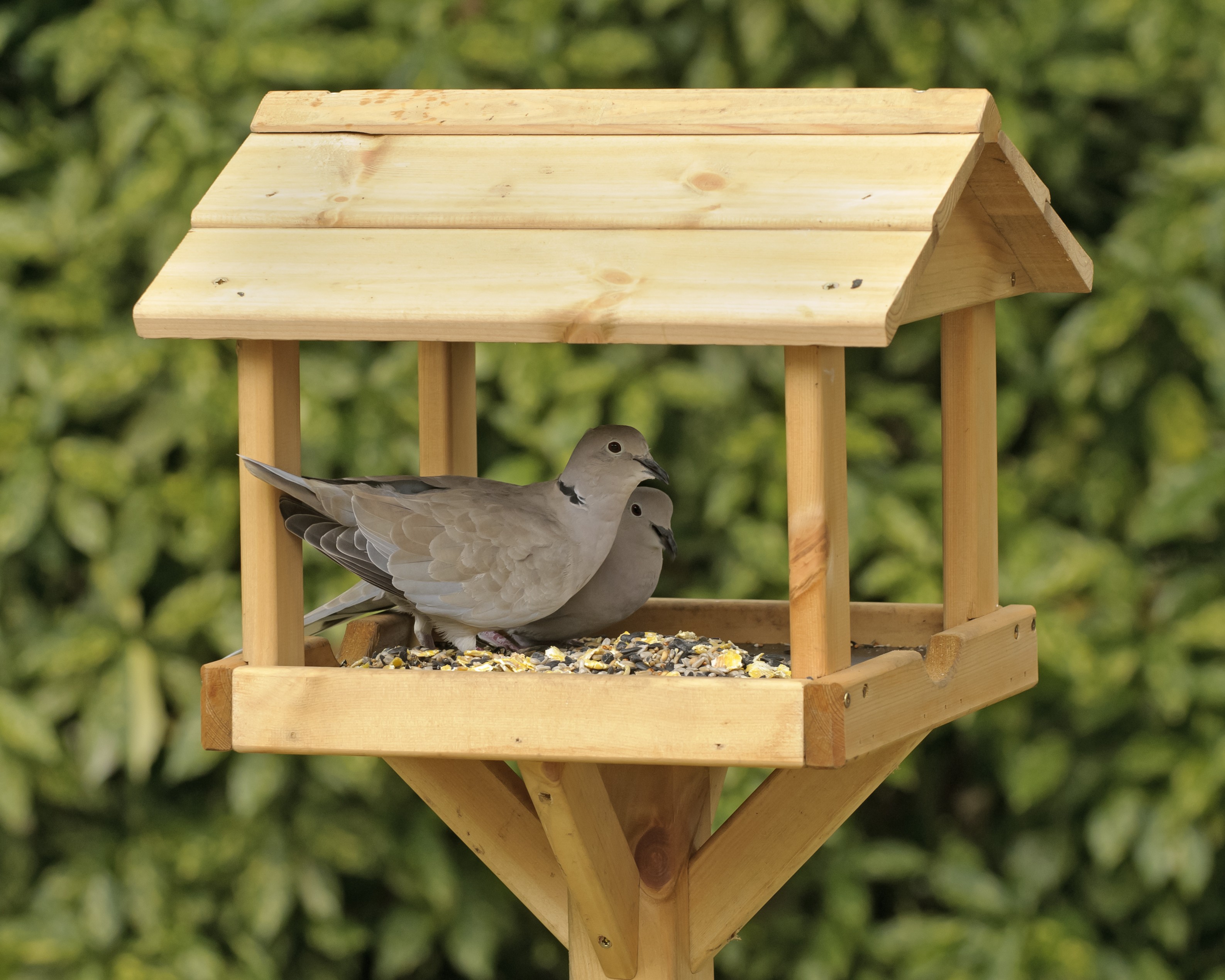 Bird tables are no longer recommended by the RSPB due to the risk of spreading disease