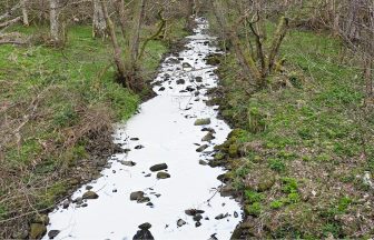 Fish and frogs killed in Aberlour stream pollution incident