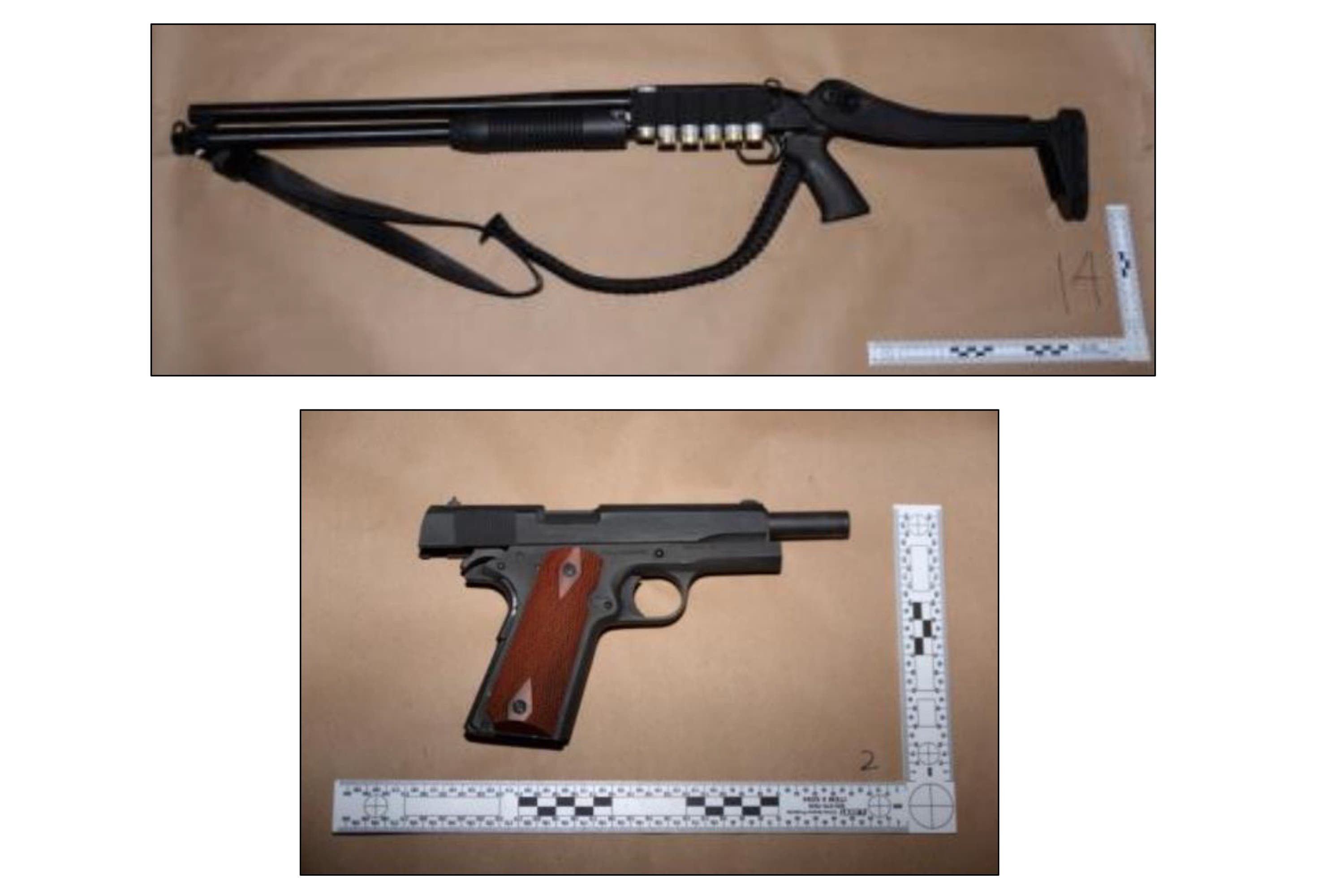 Some of the weapons and shotgun ammunition Cole Allen had in Washington, according to a court filing by the US department of justice