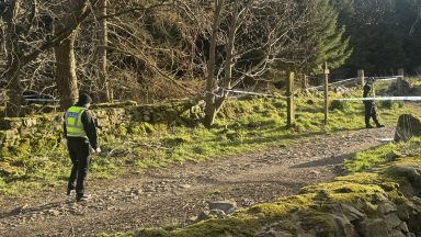 Large wooded area in Aberdeen taped off following incident
