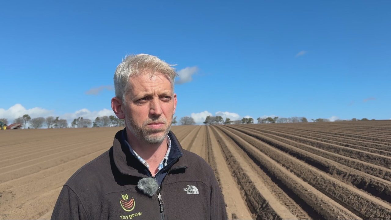 Rising costs and changing tastes put pressure on Scotland’s potato growers