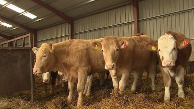 Farmers continue to protest over ‘family farm tax’