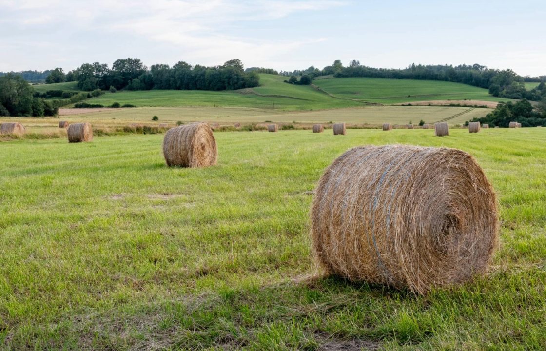 Death of farmer crushed by hay bale in Selkirk to be investigated