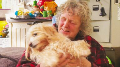 Plea to help save animal sanctuary caring for abused pets
