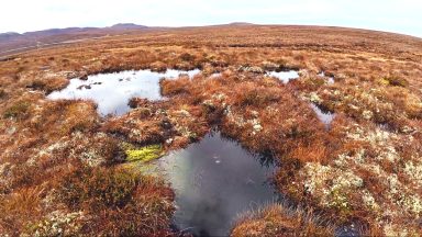 Rewilding rare peatland project under way near Loch Ness