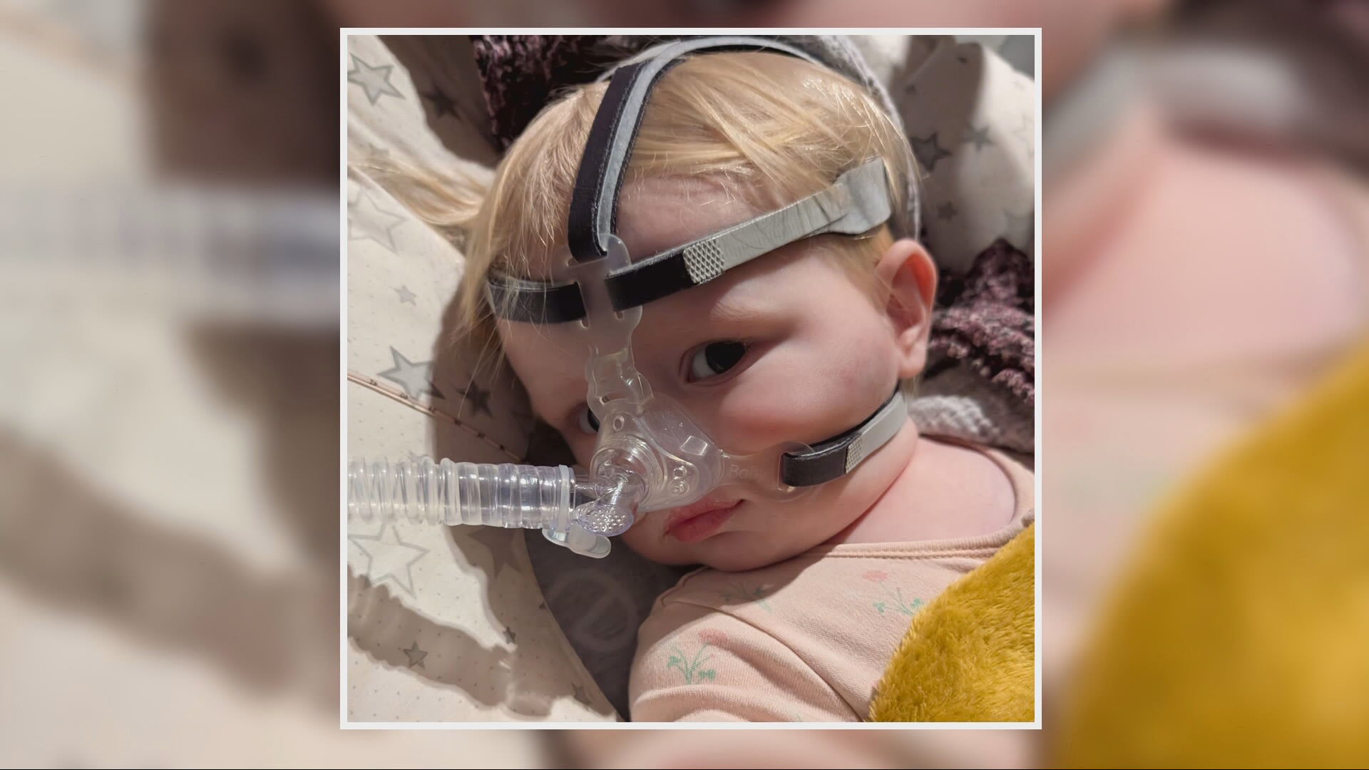 Nearly a year on, the family have had no answers regarding Elyza's condition