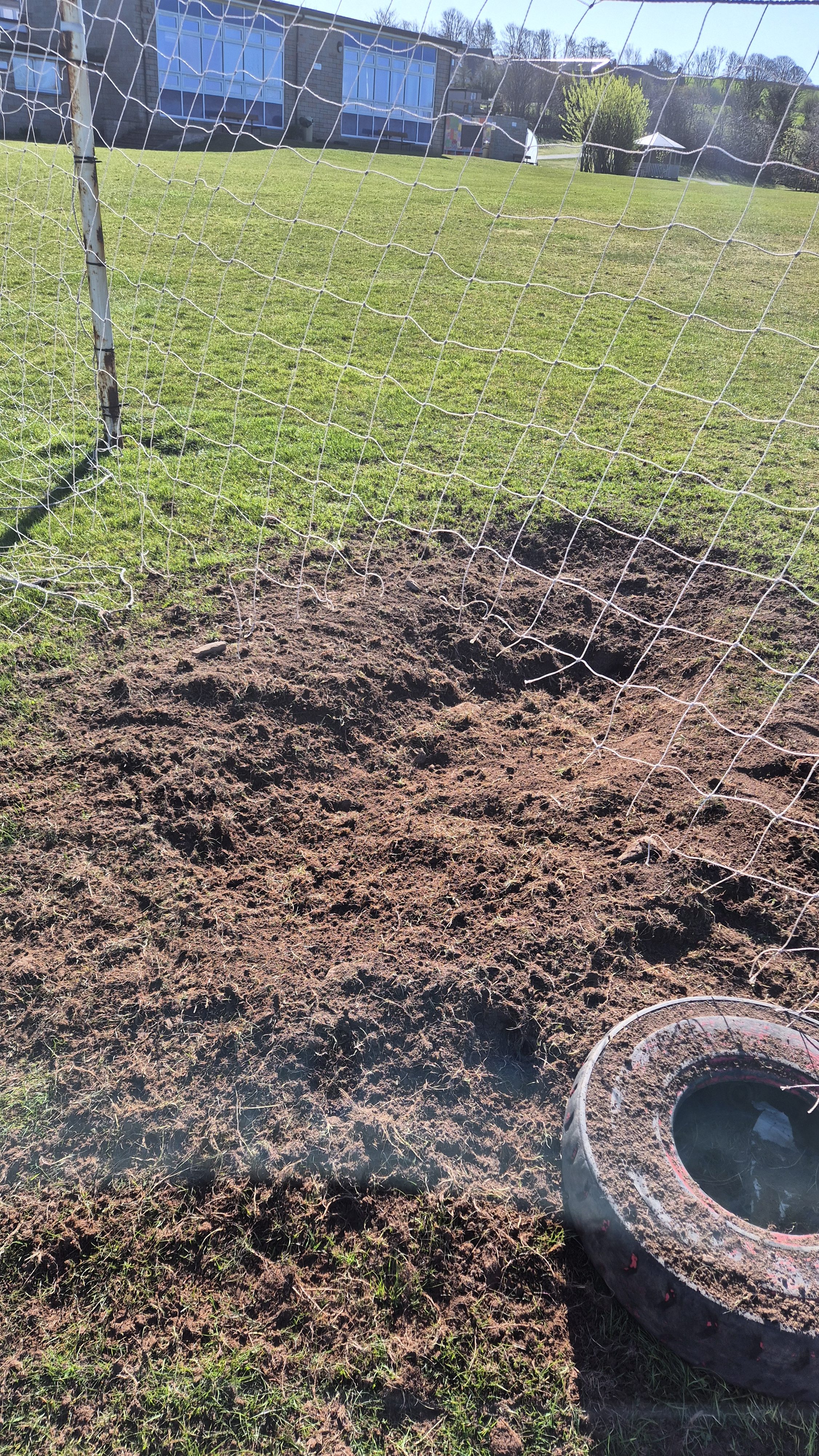 The pitch under the goal post was worn away where the badger had become stuck.