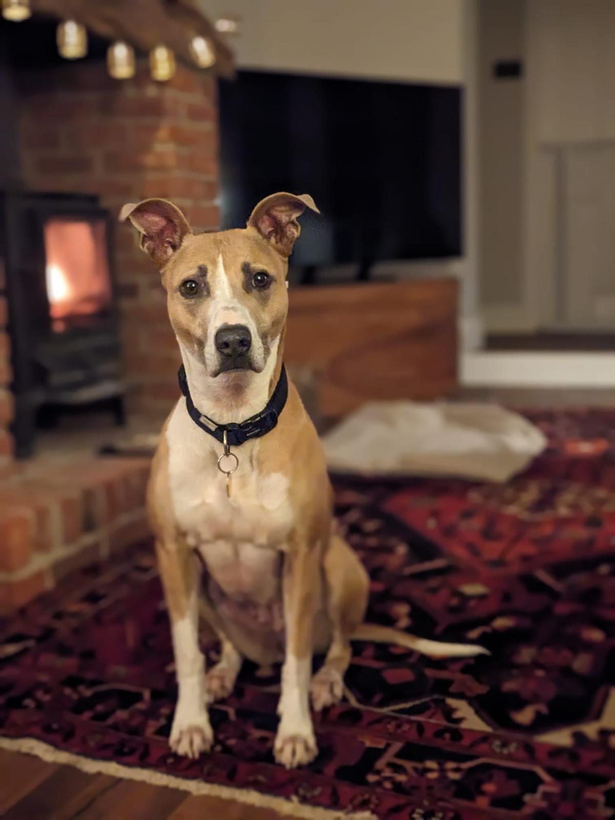 The Northumberland couple travelled 100 miles to meet Lucy Longlegs.