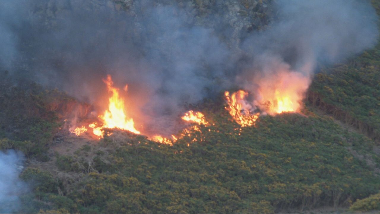 Firefighters tackle ‘large grass fire’ on Arthur’s Seat overnight