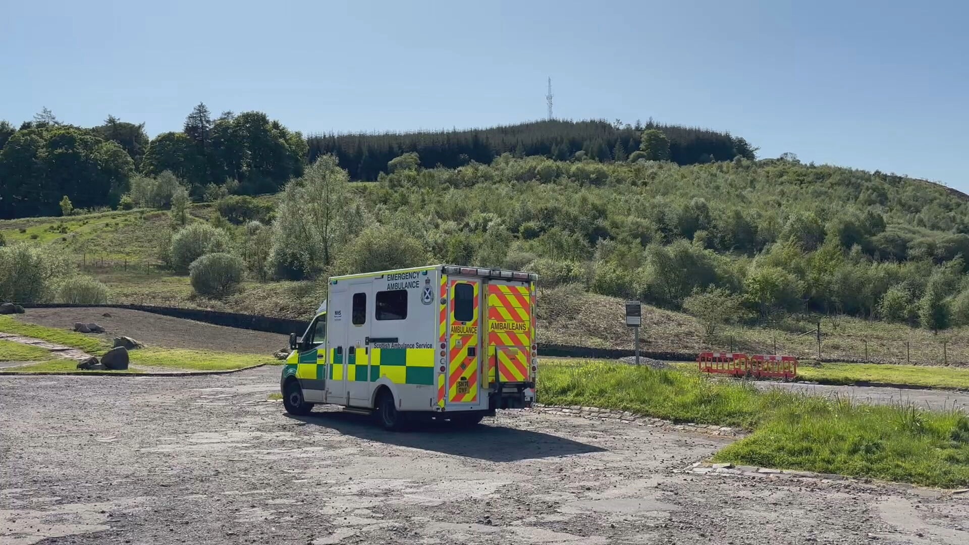 Suspected adder bite at the Whangie