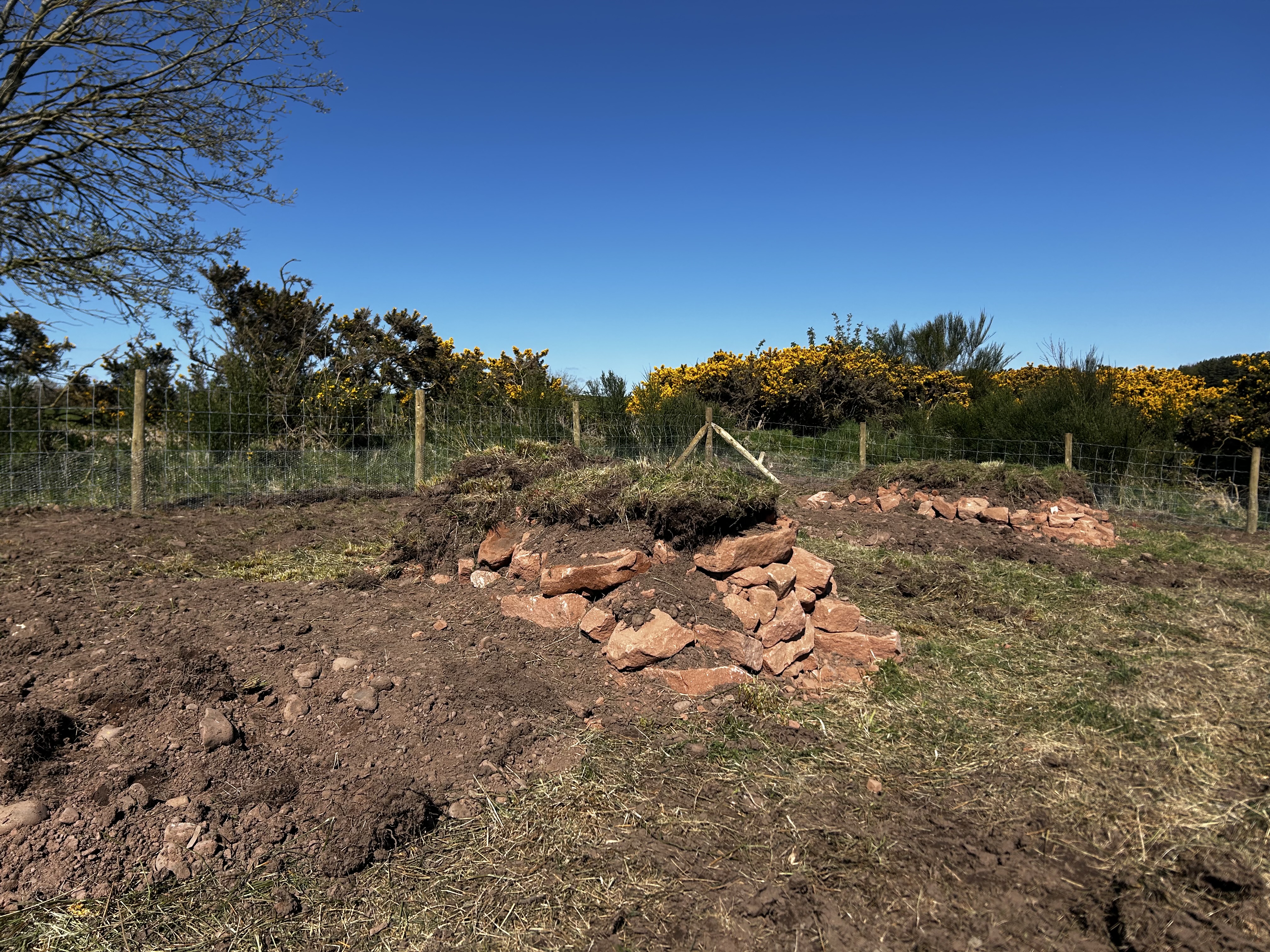 Two hibernacula at Powfoot