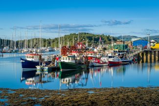 Fishermen warn industry at ‘critical point’ one year on from EU deal