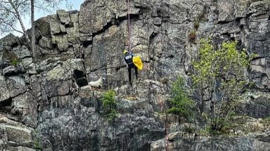Lucky the sheep rescued by Tayside MRT after becoming stranded on Angus rock face