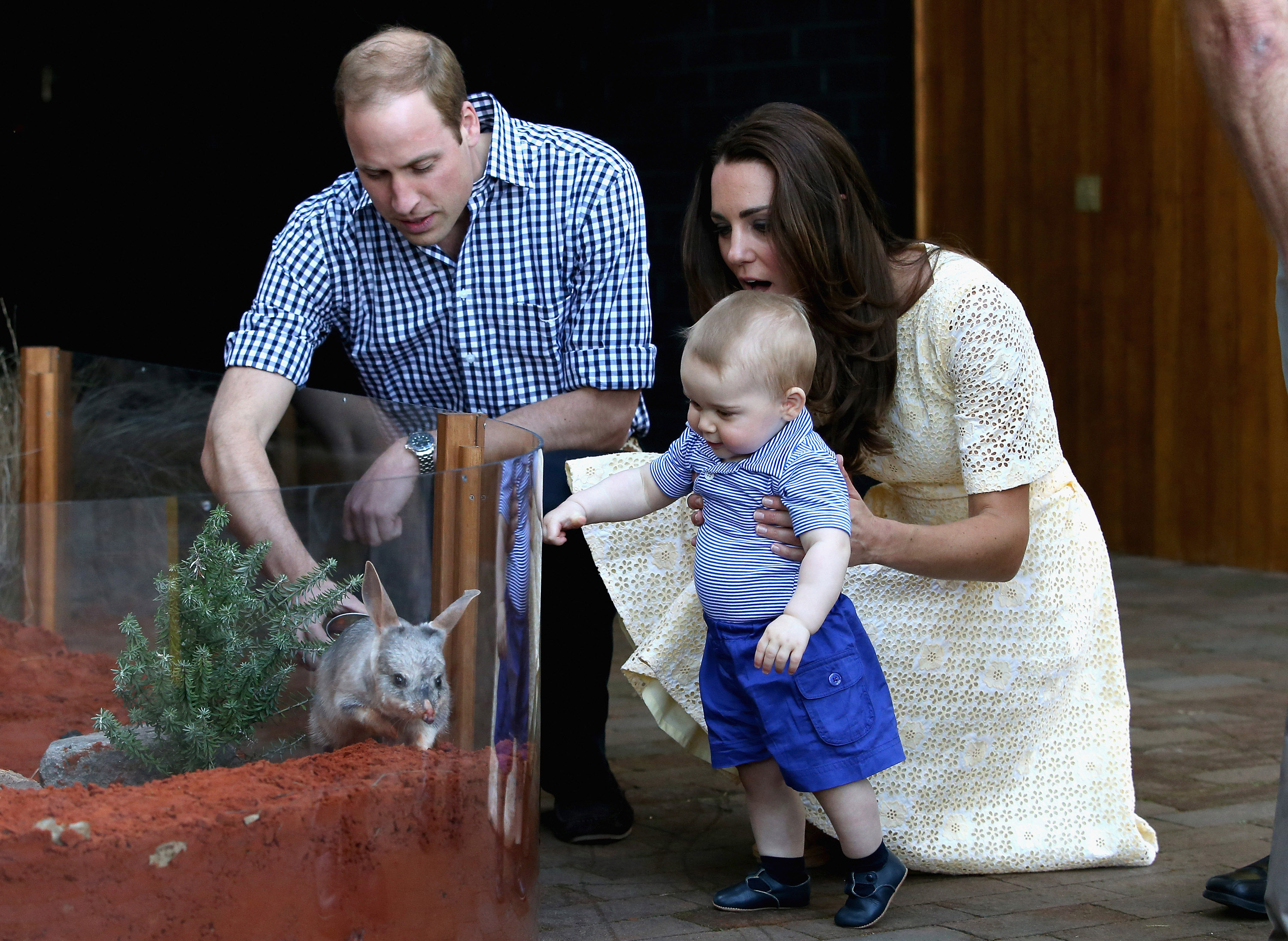 Prince George meeting a bilby called George at Taronga Zoo in Sydney, Australia in 2014 (Chris Jackson/PA)