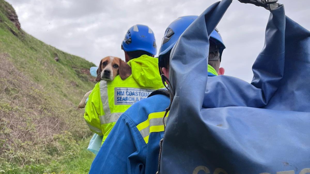 Dog rescued after becoming stranded on rocks below Scottish Borders cliffs