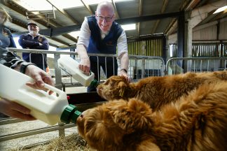 SNP leader John Swinney stands by food price cap policy despite industry criticism