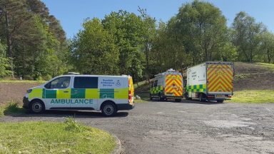 Walker in hospital after being bitten by suspected adder at Auchineden Hill near Glasgow