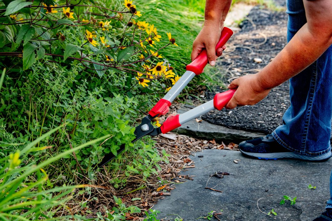 West Lothian council tenants who fill gardens with rubbish could be slapped with clearing bill