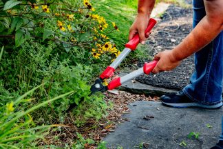 West Lothian council tenants who fill gardens with rubbish could be slapped with clearing bill
