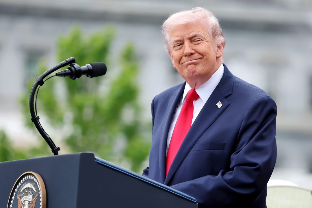 Greens vow to examine Donald Trump’s wealth