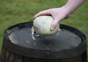 US urged to ‘make haggis legal again’ ahead of World Cup