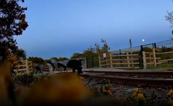 Train forced to make emergency stop as young people step onto tracks near Inverness