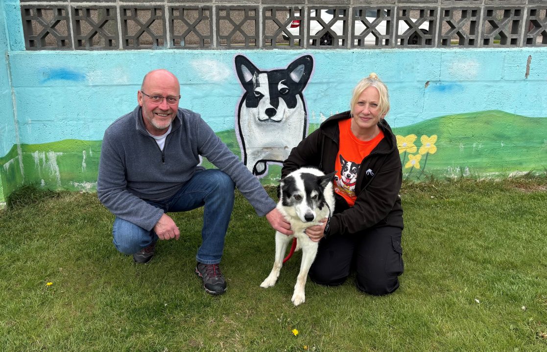 Aberdeen charity fundraiser aims to build 21 new kennels to transform the lives of rescue dogs
