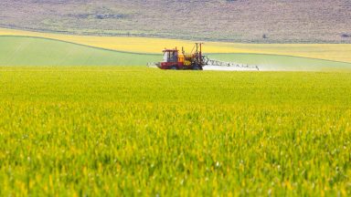 Campaigners call for ban on use of herbicide glyphosate at harvest