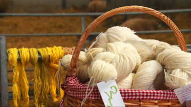 Scottish wool receives special ‘crook label’ trademark