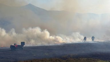 Wildlife scorched as gamekeepers help firefighters battle raging wildfires