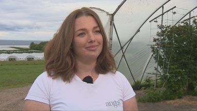 Cold weather brings ‘bumper’ season for Scottish berry growers