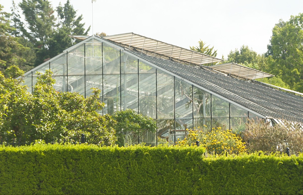 Dundee University is also proposing to stop running the botanic garden.