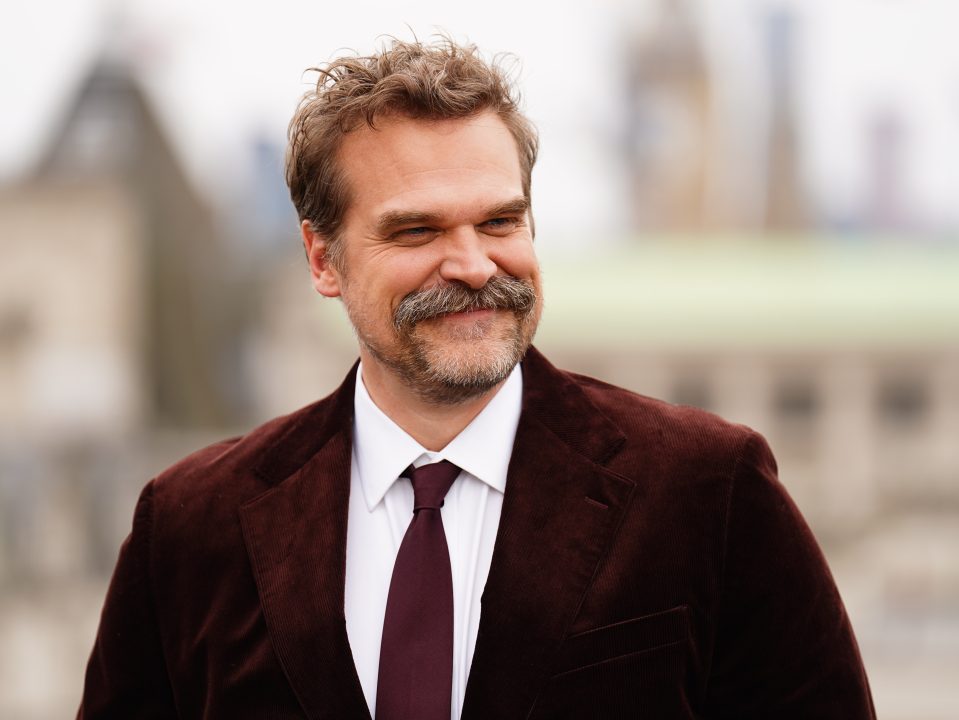 David Harbour breaks silence on Lily Allen album: ‘I respect her for doing that’