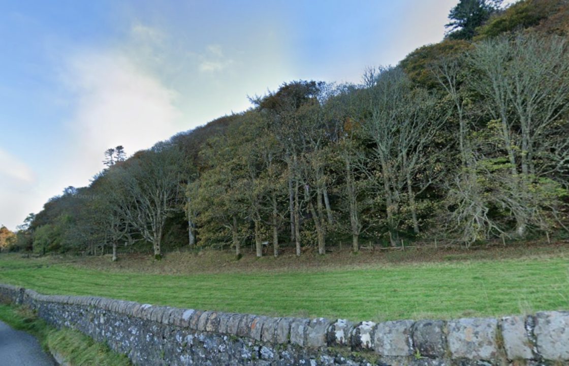 Rape at Dunollie Woods in Oban reported to police one month on from attack