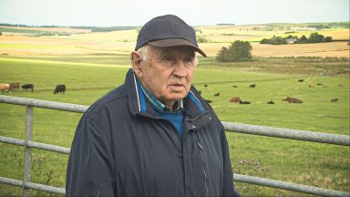 Farming succession: ‘Unless your parents are rich farmers, there’s no hope in hell’