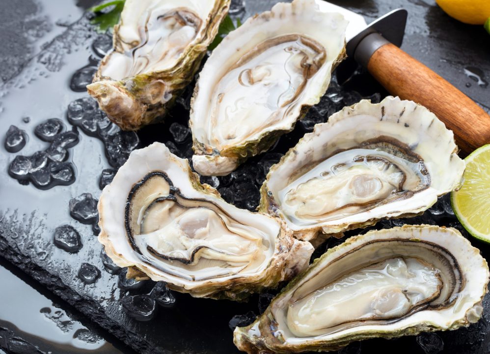 Councillors approve plans for Isle of Barra oyster farm to triple in size 