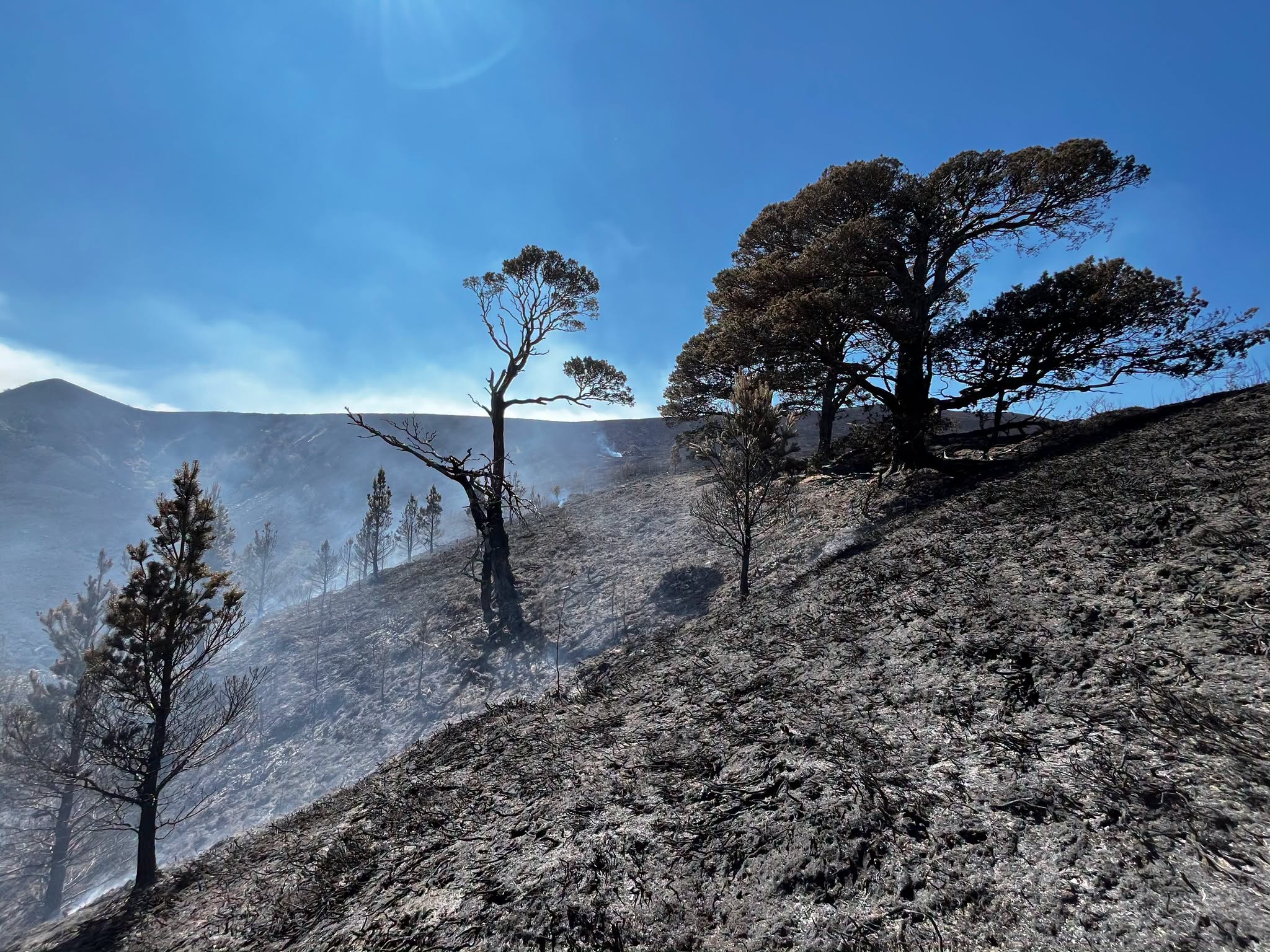 Devastation left by the wildfire in the Cairngorms