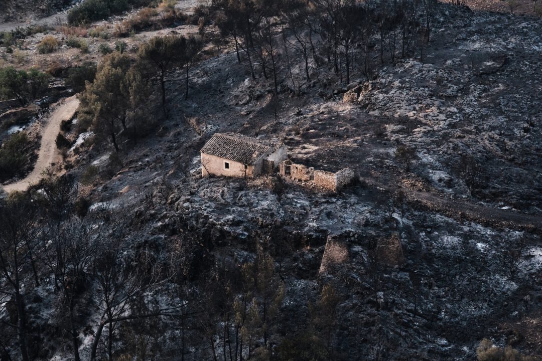 Hundreds of firefighters battle wildfire in Andalusia, Spain which killed at least 12