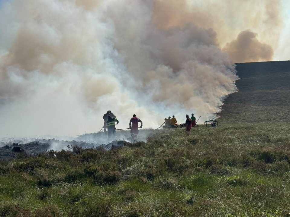 Wildfire response to continue in coming days amid encouraging progress – police