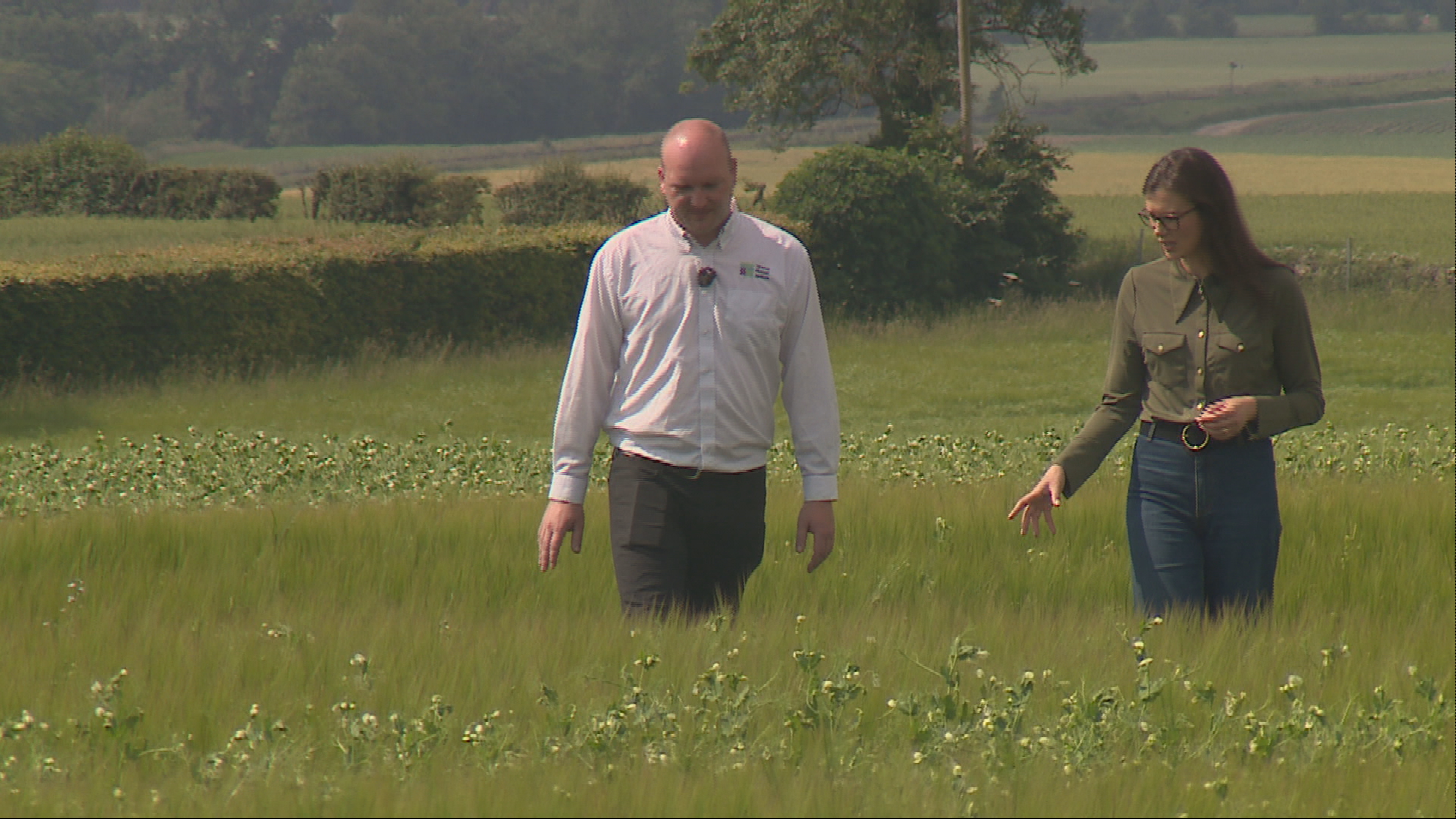 STV News takes a tour around the field at Invergowrie